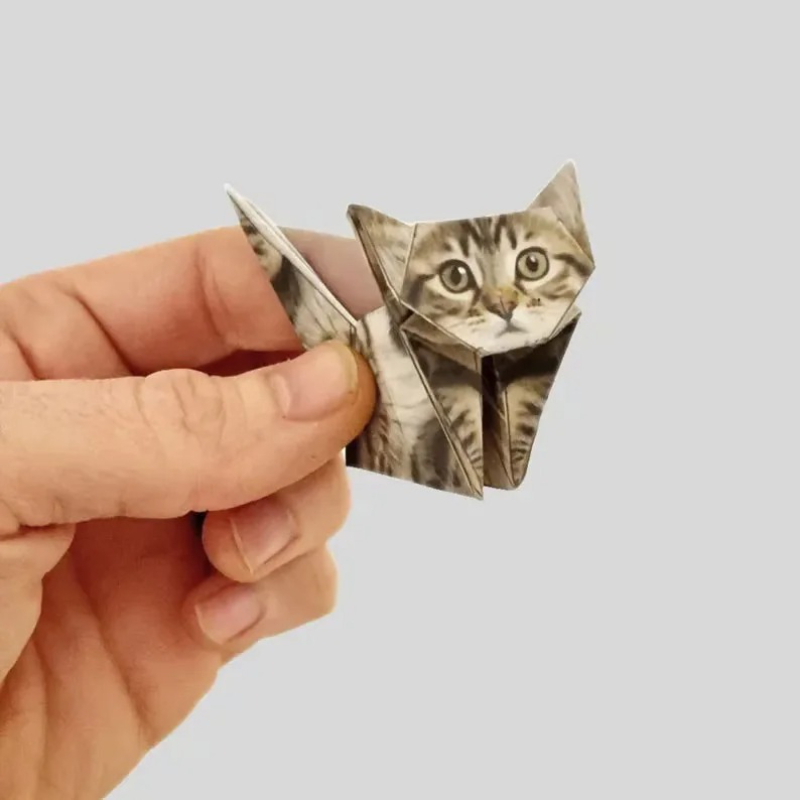 Creative DIY Origami Paper Set - Art Craft Dinosaurs 评论和价格