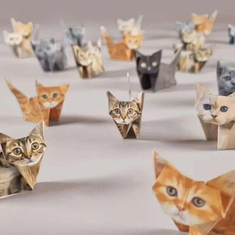Creative DIY Paper Cats 50 She - Art Craft Dinosaurs 评论和价格